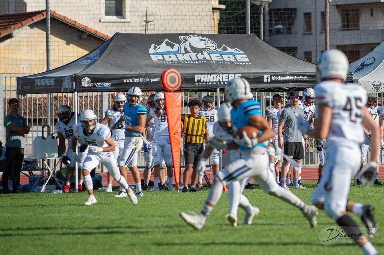 Barnum pliant des black panthers de Thonon-les-bains